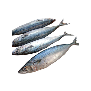 Pescado Macarela Entero Fresco, Color Azul Plateado, Listo para Cocinar - Product Image 1