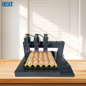 In thông minh ngày sản xuất số sê-ri của toàn bộ khay trứng hoàn toàn tự động Máy in phun trứng 3 vòi - Product Image 1