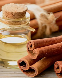 ACEITE ESencial DE CANELA, CALIDAD DE EXPORTACIÓN - Product Image 3