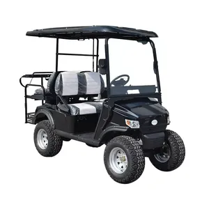 Carrito de golf eléctrico personalizado 5kw Motor de acero 2 plazas Buggy Club Car Compatible 30-50 Km/h 50-70km 12V EEC DOT GCC certificado - Product Image 5