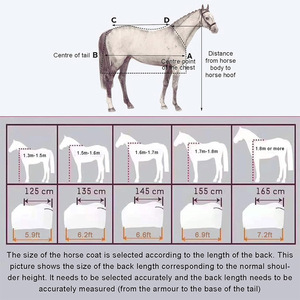 Atlar için Rainsheet Polyester su geçirmez nefes at yağmur levha Turnout Rainsheet kilim - Product Image 5
