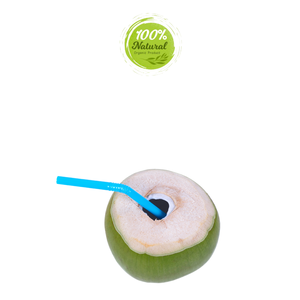 Noix de coco fraîche du Vietnam Nature Cooling Delight - Product Image 5
