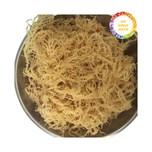 Mousse de mer irlandais Pure de fabrication sauvage/Eucheuma Cottonii origine Vietnam/algues dorées vente en gros au prix le plus bas - Product Image 3