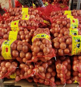 Cây trồng mới màu đỏ vàng tươi hành tây bán buôn bán rau quả tươi Chất lượng cao - Product Image 3