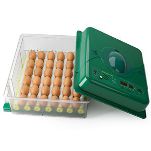 Incubatrice per Uova di Gallina ad Alta Efficienza con Display Digitale, Controllo dell'Umidità, 36 Uova, ECO PROFI C-36 - Product Image 1