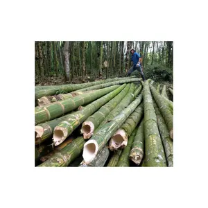 Premium Kwaliteit Bamboe Split Direct Fabriek-Natuurlijke Bamboe Latten Bamboe Strip Split 99gd