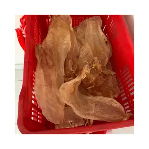 MAW DE POISSON DE BASS SÉCHÉ HAUTE QUALITÉ 100% Natural Dried Top Quality Popa Fish Maw