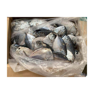 Bán buôn đông lạnh <span class=keywords><strong>moonfish</strong></span> WR số lượng lớn Thùng carton cao cấp toàn bộ vòng cá đã sẵn sàng cho lô hàng - Product Image 4