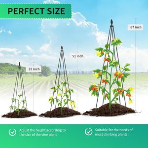 Enrejado de jardín de Metal alto de 67 pulgadas, decoración interior y exterior para el hogar para plantas trepadoras, compatible con vides, verduras, otras plantas - Product Image 3