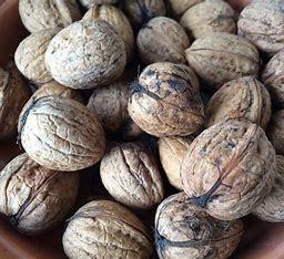 เคอร์เนลวอลนัทออร์แกนิกจากยุโรปสำหรับขนมขบเคี้ยวแบบแห้งสดใหม่สำหรับใช้แปรรูปวัตถุดิบแบบไม่มีเปลือก - Product Image 3