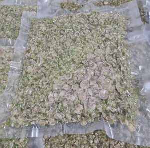 CITRONNELLE FRAÎCHE CONGELÉE BIOLOGIQUE/NATURELLEMENT SUPÉRIEUR/PRIX RAISONNABLE/FABRIQUÉ AU VIETNAM - Product Image 4