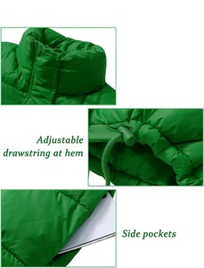 Puffy Bubble Coats Chaqueta Ropa de invierno para mujer Puffer Chaquetas de invierno Cremallera Bubble Chaquetas Mujer - Product Image 6