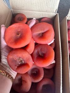 Prix bon marché et taux bas: kaki séché doux, une collation supérieure et des fruits déshydratés de l'usine pour l'exportation. - Product Image 3