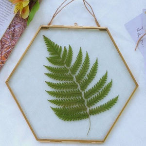 Marco de fotos de diseño moderno con colgante, marco de fotos de Metal único para el hogar, sala de estar, color dorado, forma cuadrada, álbumes de fotos - Product Image 2