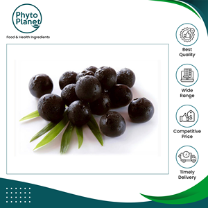 Exportador y proveedor de la más alta calidad Venta caliente de polvo de extracto de fruta de Acai seco natural y puro para compradores mayoristas - Product Image 3