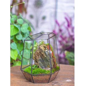 Top vente décoration de la maison en laiton Mini verre géométrique Terrarium Vase verre clair noir fini pour la décoration de table et la décoration de la maison - Product Image 5