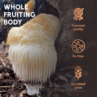 Complément alimentaire quotidien Vitahealthy à base d'extrait de champignon en formule sans sucre à l'allulose pour le bien-être, gommes à l'allulose aux champignons