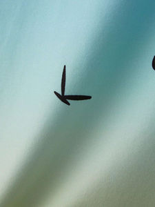 Débardeur décontracté pour homme, personnalisable, à sublimation, dernière conception, respirant, léger, haute qualité, personnalisable, best-seller - Product Image 4