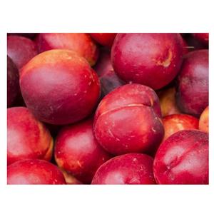 El precio más barato Proveedor de frutas frescas a granel Ciruelas con entrega rápida - Product Image 1