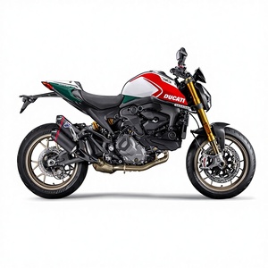 2024 Monster 937 SP Monster +Monster Displacement 937 <b>cc</b> - Product Image 1