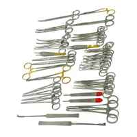 ACIER INOXYDABLE JAPONAIS DE HAUTE QUALITÉ 141 PCS CANINE + FELINE SPAY PACK INSTRUMENTS CHIRURGICAUX VÉTÉRINAIRES