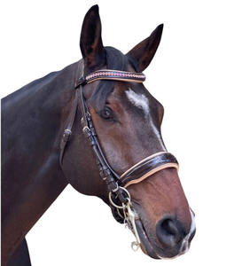Florence Double Bridle GLITTER BRIDLE SOFTY MUCHOS COLORES OPCIONES Genuino Marrón oscuro Personalización - Product Image 2