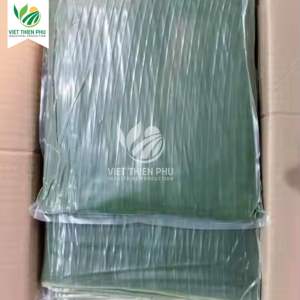 Hoja de Plátano Congelada Orgánica VIET THIEN PHU, Fruta Fresca Económica de Alta Calidad, Estilo Directo de Agricultura Vietnamita para Uso Industrial - Product Image 2