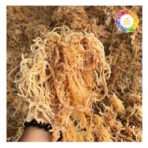 สาหร่ายคอตตอนชนิดแห้งจากเวียดนามสำหรับอุตสาหกรรมเครื่องสำอางเกรดอาหารและเครื่องสำอาง - Product Image 5