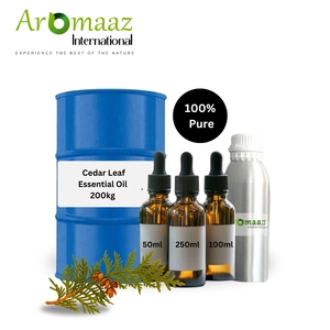Huile de Thuya à base de feuilles de cèdre pur |   Huile essentielle de cèdre blanc du Nord (Arborvitae orientale) |   100% naturel, distillé à la vapeur, certifié GMP - Product Image 1