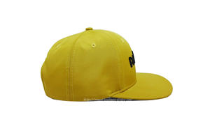 Gorra de béisbol con logotipo bordado 3D personalizado de alta calidad de Pappos estilo deportivo precurvado OEM negocios aplicable Vietnam Puff impresión - Product Image 5