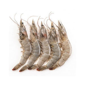 Camarones tigre enteros de alta calidad disponibles para compras al por mayor y suministro minorista - Product Image 3