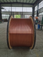 Fil de contact en cuivre CT-100, TCG100, Fil de contact en cuivre étiré à froid CT 100 100 mm², Fil de contact pour locomotive électrique minière