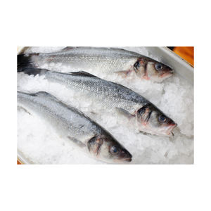 Pescado de lubina Premium disponible a granel Ideal para distribuidores y mayoristas de mariscos - Product Image 4