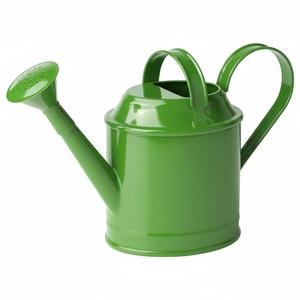 Arrosoir en métal forgé argenté finition antique pour usage intérieur et extérieur, anti-fuite - Product Image 6