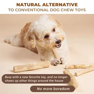 Vente en gros bâton de jouet à mâcher en bois de café pour chien gomme à mâcher bâtons de dentition en bois massif naturel jouet pour chien à mâcher - Product Image 4