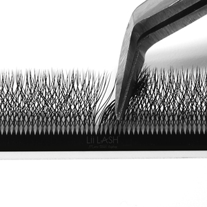 Pestañas Clover 5D W, Cruelty-Free, Base Plana, Abanicos Preformados en Forma de W, Tallo Largo, Pestañas Naturales al por Mayor, Larga Duración - Product Image 2