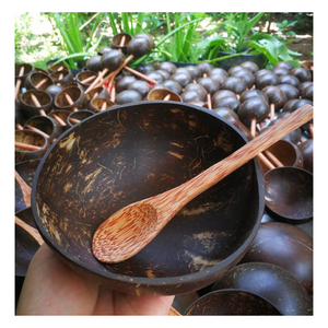 Tazón Ecológico de Cáscara de Coco Hecho a Mano con Cáscara de Coco Real para una Vida Sostenible y Mercados Globales - Product Image 1