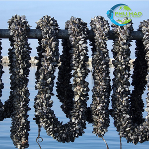 Hot Item Product PALM MAT / COIR ROPE Best Size 100m, 200m Coir Rope Exported From Vietnam - Product Image 2