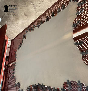 Cuero de Búfalo Natural Completo, Parche de Piel de Búfalo, Pergamino, Blanqueado, Impermeable, Duradero, Accesorios para Muebles de Confianza - Product Image 5