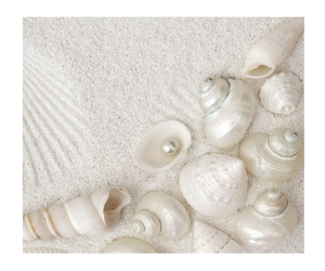 Mezcla de conchas marinas blancas Conchas marinas naturales para decoraciones - Product Image 1