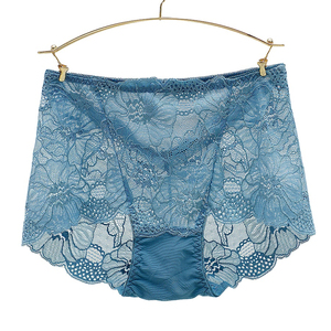 2025 Customizable New Logo Solid Woman <b>Panties</b> Mid Rise Seamless Lace Plus Size Hipster <b>Ladies</b> Nylon Material Butt Lifting - Product Image 3