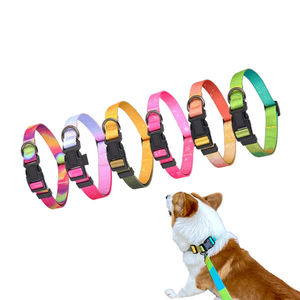 Collar personalizado de la mejor calidad para mascotas, Correa con Material de poliéster brillante, juego de correa ajustable y duradera - Product Image 2