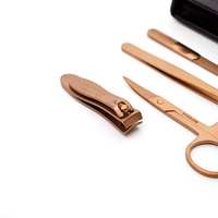 Coupe-ongles professionnel en or Rose, ensemble de manucure en acier inoxydable, outils de pédicure, Kit de toilettage pour femmes