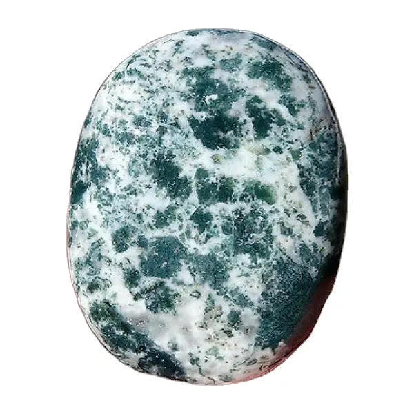 Export Quality Tree Agate Palm Stone acquista da Mariya Crystal Export Crystal Decoration Charming