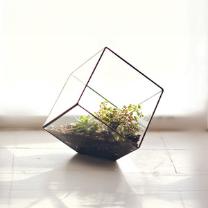 GET0406BK - Terrarium en verre géométrique noir incliné en forme de cube - 8,5 - Product Image 6