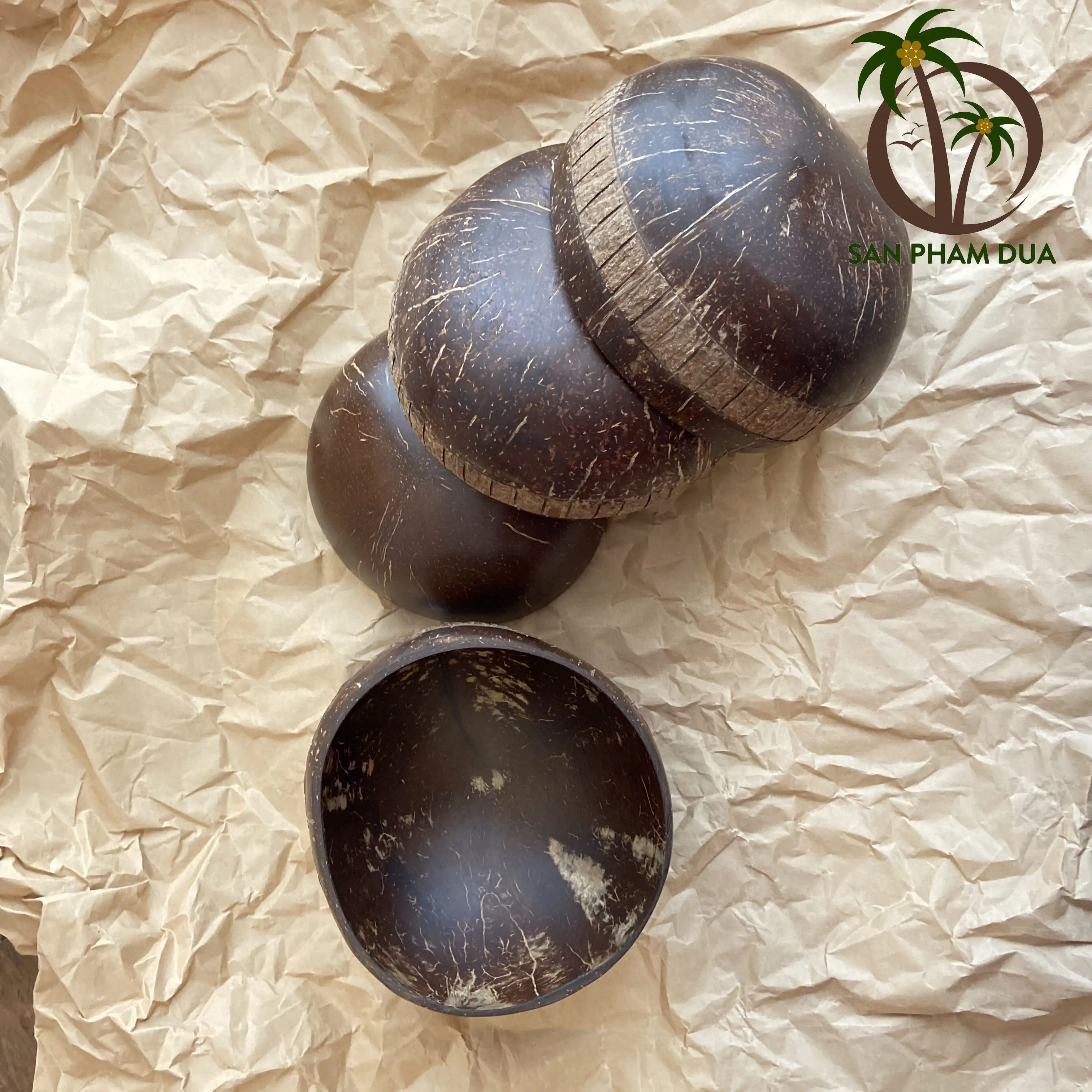 Mangkuk tempurung kelapa alami yang ramah lingkungan mangkuk mie Salad buah kelapa mangkuk kayu buatan tangan untuk bermerek COCO Eco