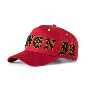 Personalizar gorras de béisbol al por mayor 3D bordado gorras deportivas diseño personalizado curvo gorras de camionero gorra de fiesta informal con logotipo personalizado - Product Image 2
