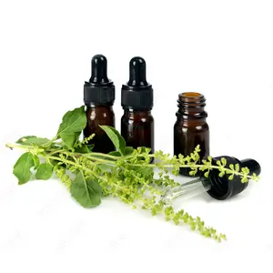 Holy Basil Ätherisches Öl für Luft reiniger Luftbe feuchter Aroma therapie Verwenden Sie ätherische Öle Lieferanten Aromatische Diffusor öle