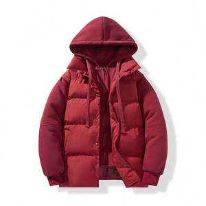 Winter Men's Casual Youth Warm <b>Jacket</b> With Thick <b>Hood</b> <b>Padded</b> <b>Jacket</b> - Product Image 4