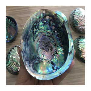 Stunning Abalone <b>Shell</b> Vietnam Bulk Natural <b>Shells</b> <b>Jewelry</b> Carving Export Decor Vibrant Colors Craft Material Competitive Price - Product Image 3